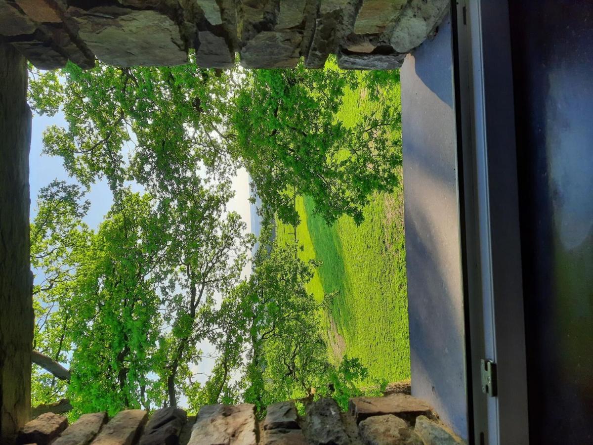 Very Spacious House With Sauna Spa And Countryside Views Gouvy Bagian luar foto